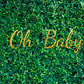 Toile de fond de photographie de feuilles vertes fraîches pour anniversaire de bébé